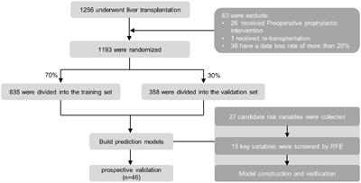 Advancing Prediction of Risk of Intraoperative Massive Blood Transfusion in Liver Transplantation With Machine Learning Models. A Multicenter Retrospective Study